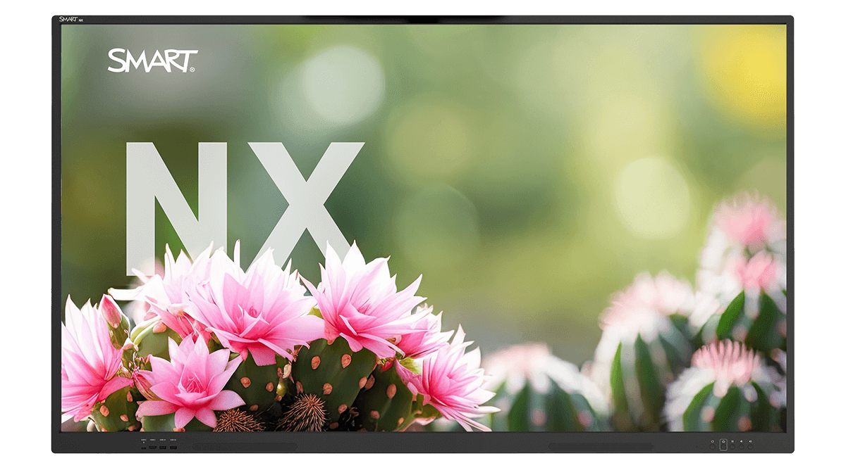 SMART board NX series non-interactive display showing vibrant pink cactus flowers.